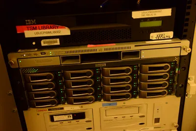 DSC_1365 (Large).JPG